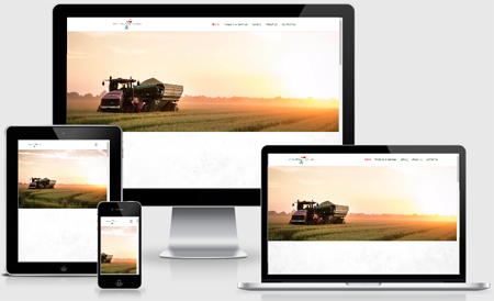 website-name